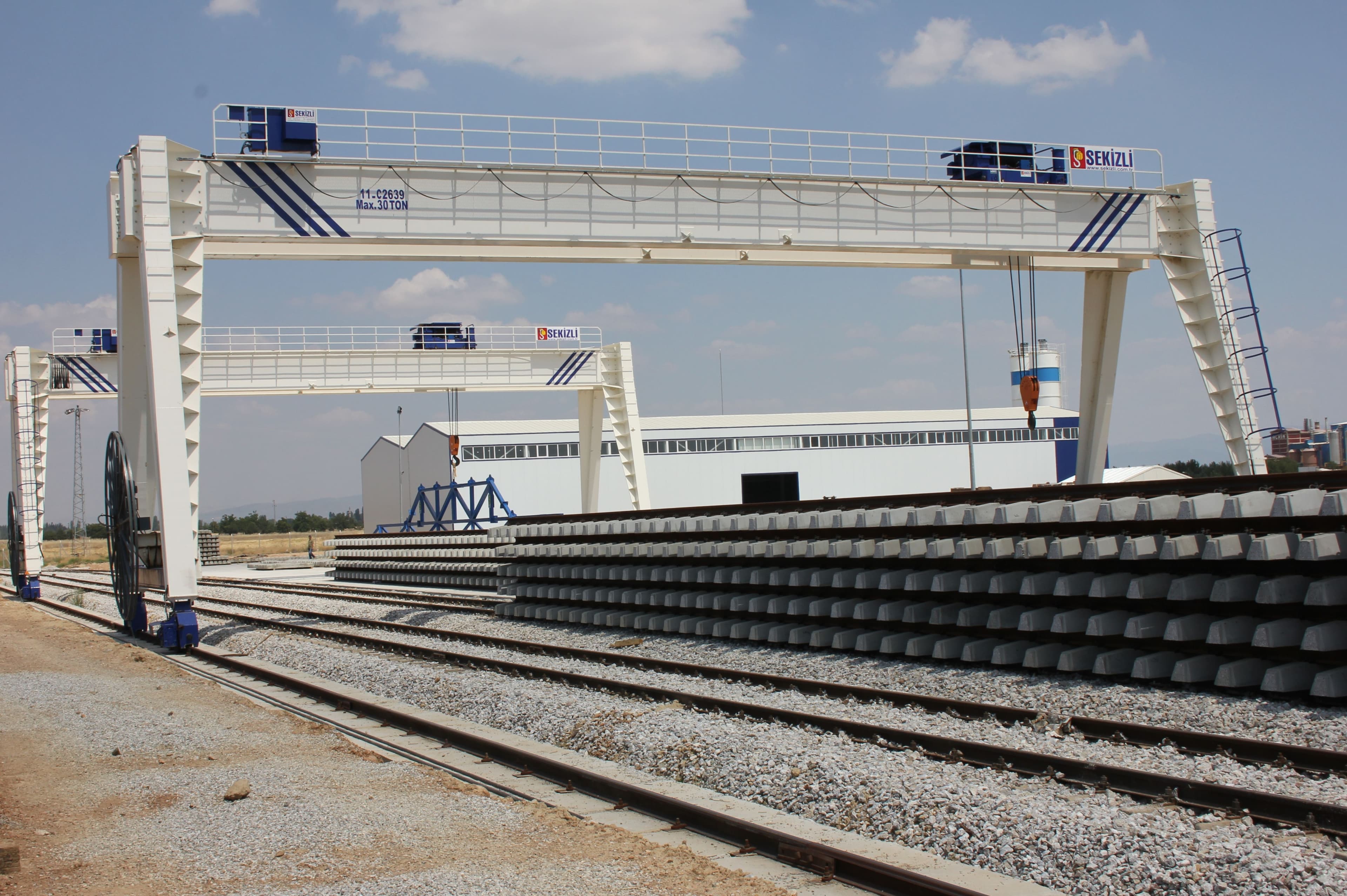 Çift Kiriş Özel Process Vinçler